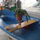 Ruderboot Alga